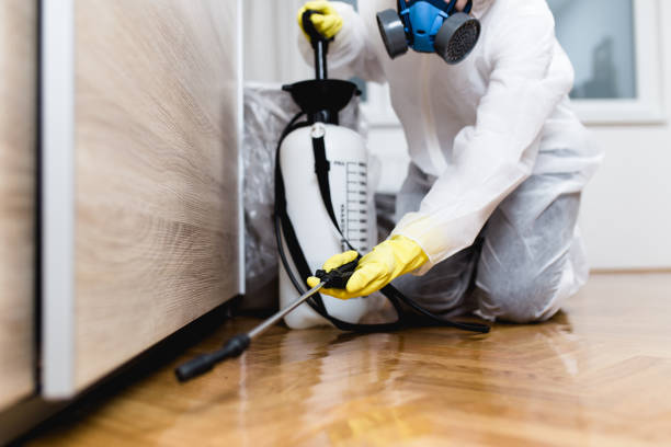 Best Termite Control Services  in Pottstown, PA