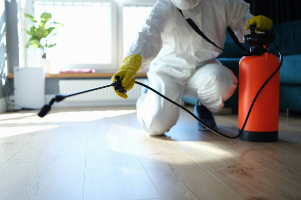 Professional Pest Control in Pottstown, PA