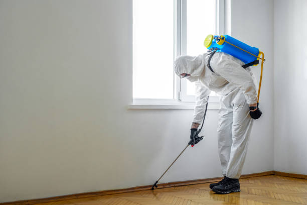 Best Pest Inspection Near Me  in Pottstown, PA