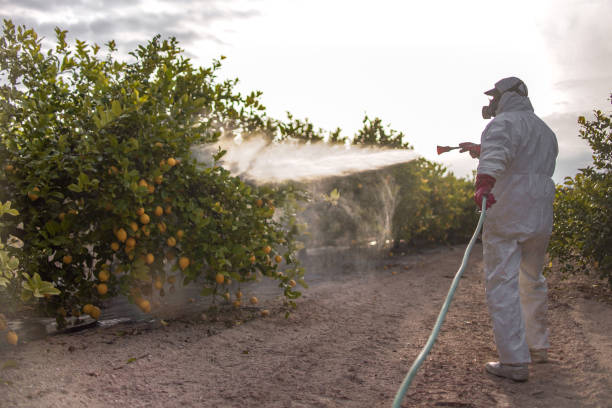 Best Emergency Pest Control  in Pottstown, PA