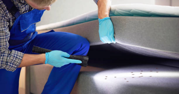Best Best Pest Control Companies  in Pottstown, PA