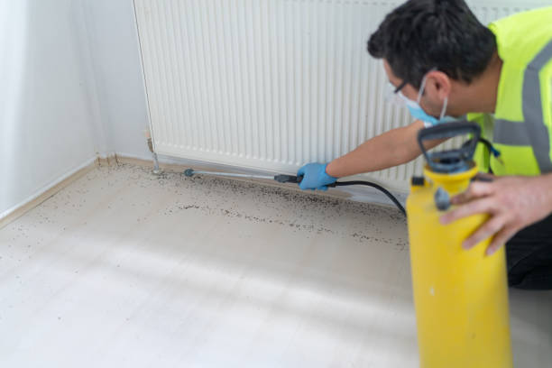 Best Local Pest Control Services  in Pottstown, PA