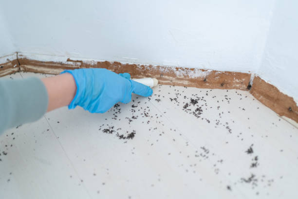 Best Residential Pest Control  in Pottstown, PA