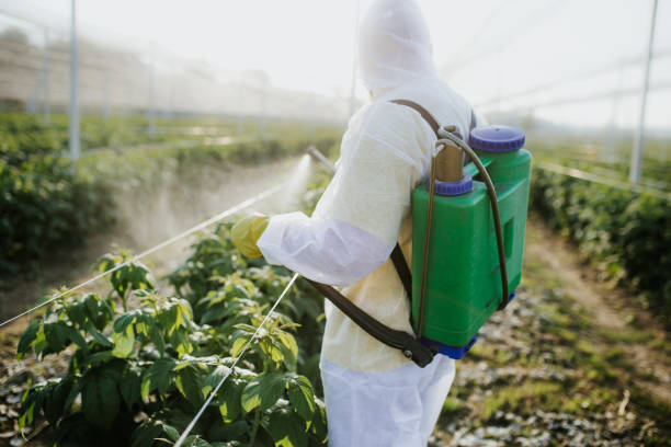 Best Insect Control  in Pottstown, PA